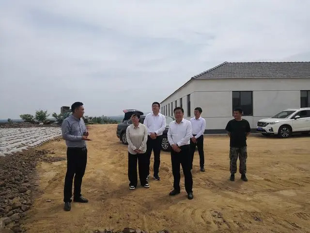 安丘市委书记贾勤清带队赴红足一1世66814调研