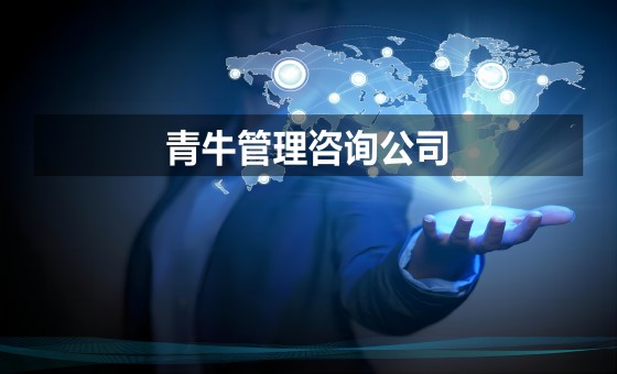 管理咨询公司排名情况