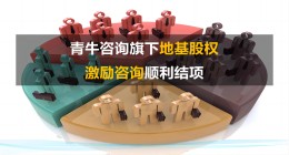 股权设计咨询公司最新动态：地基股权激励咨询