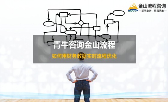 流程管理咨询公司：如何利用财务数据支撑企业