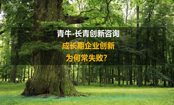 成长期企业创新为何常失败？研发咨询公司最新
