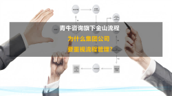 为什么集团公司要重视流程管理？