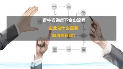 企业为什么需要做流程管理，流程管理咨询公司