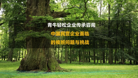 中国民营企业面临的接班问题与挑战，企业传承