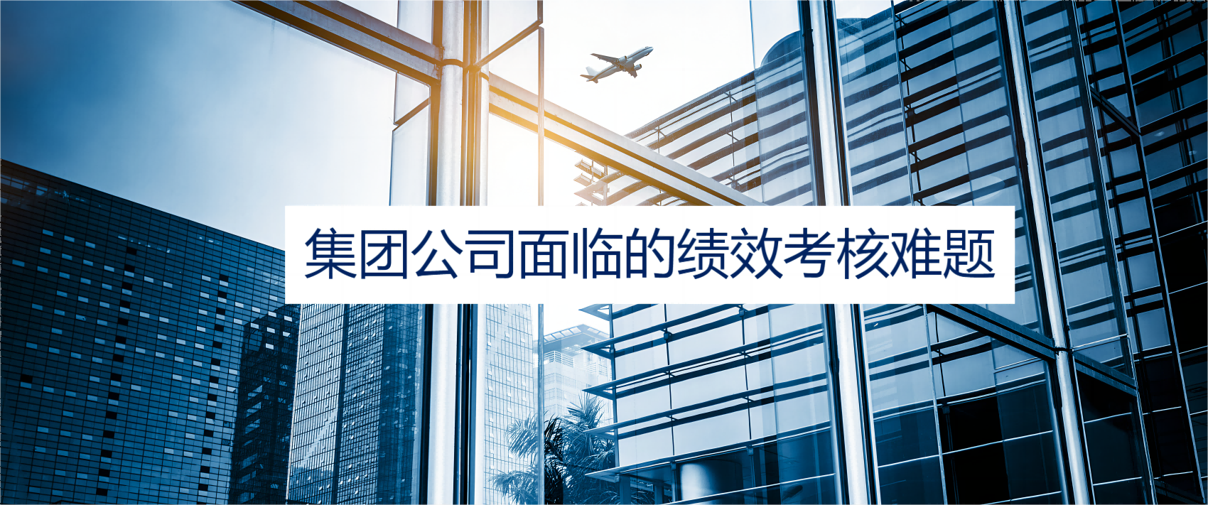 红足一1世66814