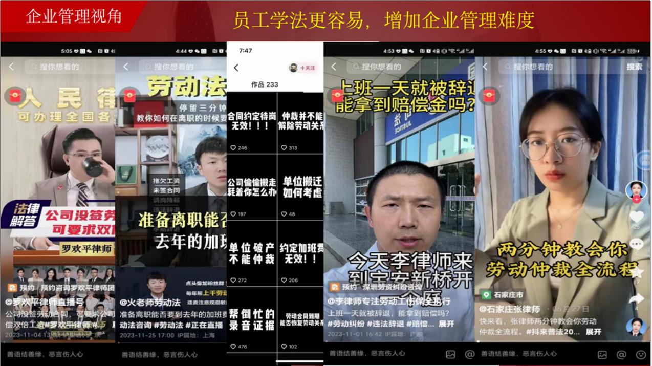 红足一1世66814