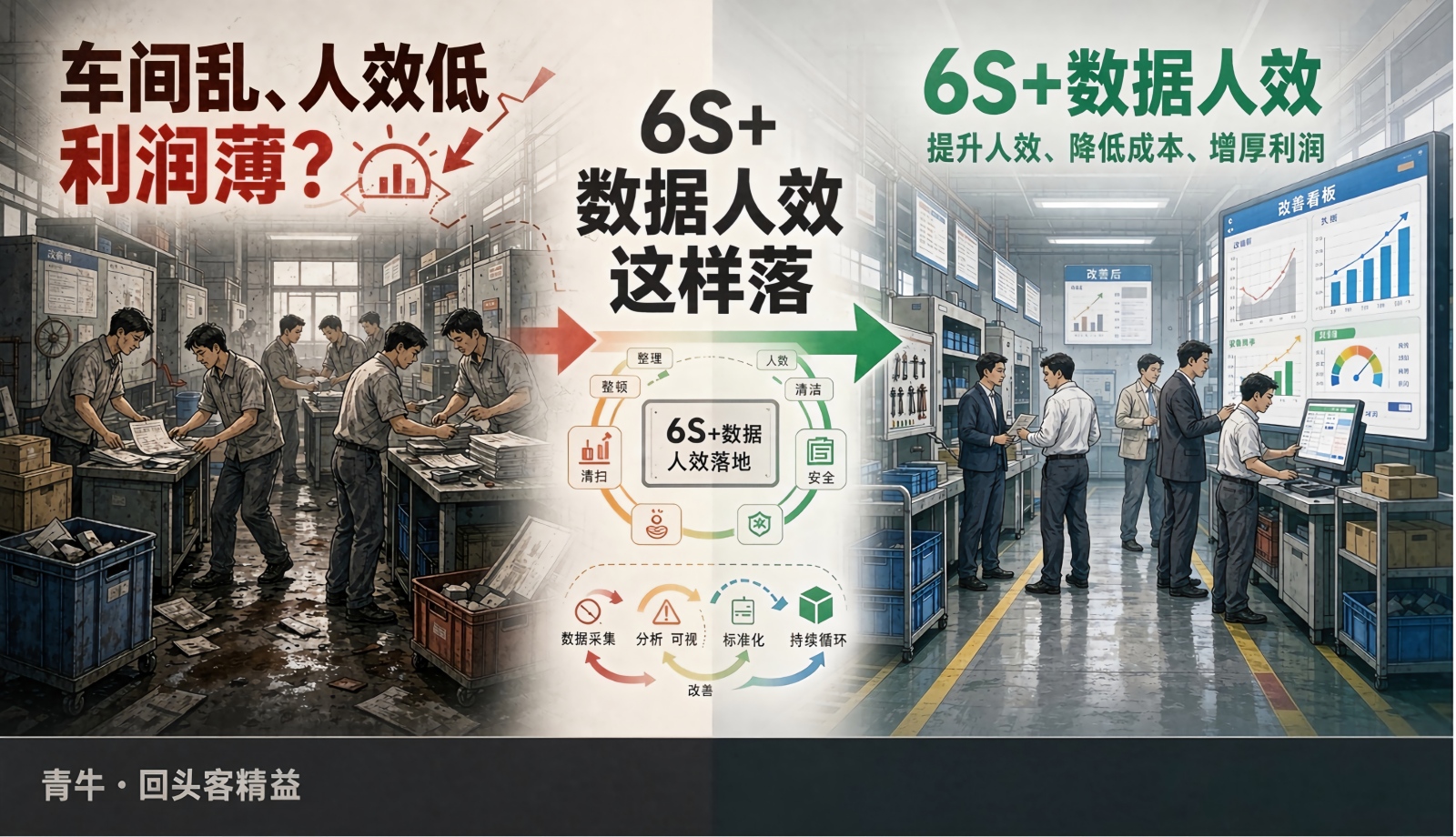 红足一1世66814